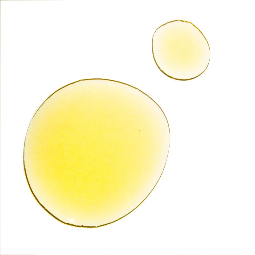 UMA Rose Rapture Rejuvenating Body Oil